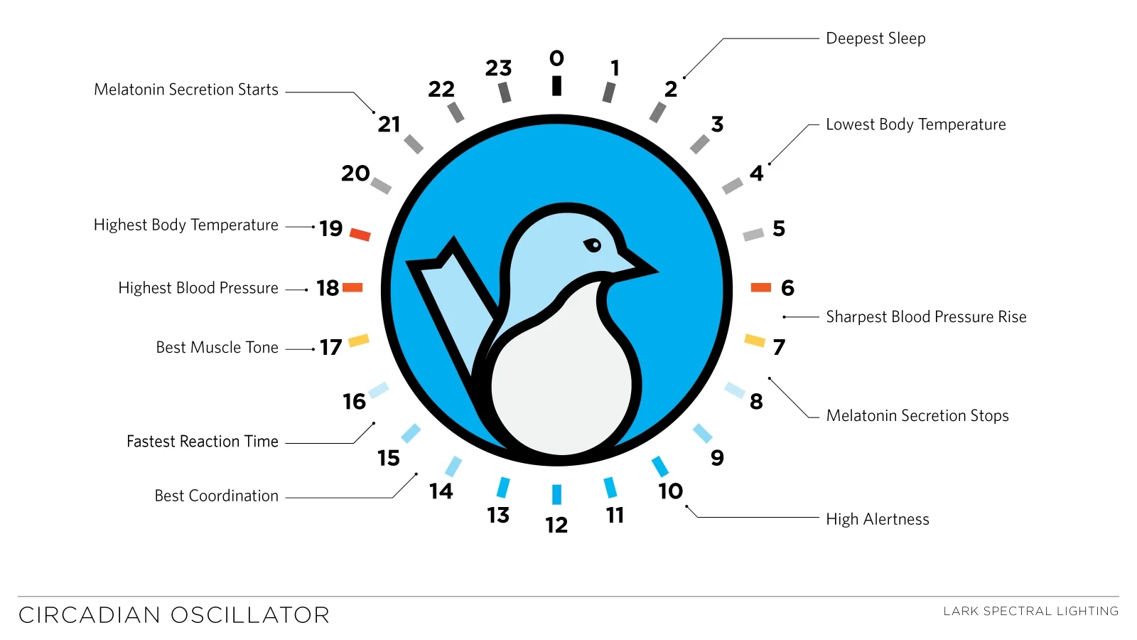 Why Light Matters: Designing with Circadian Health in Mind