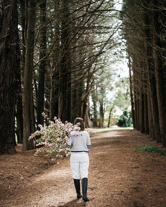 Spring forage at The Park 🌸