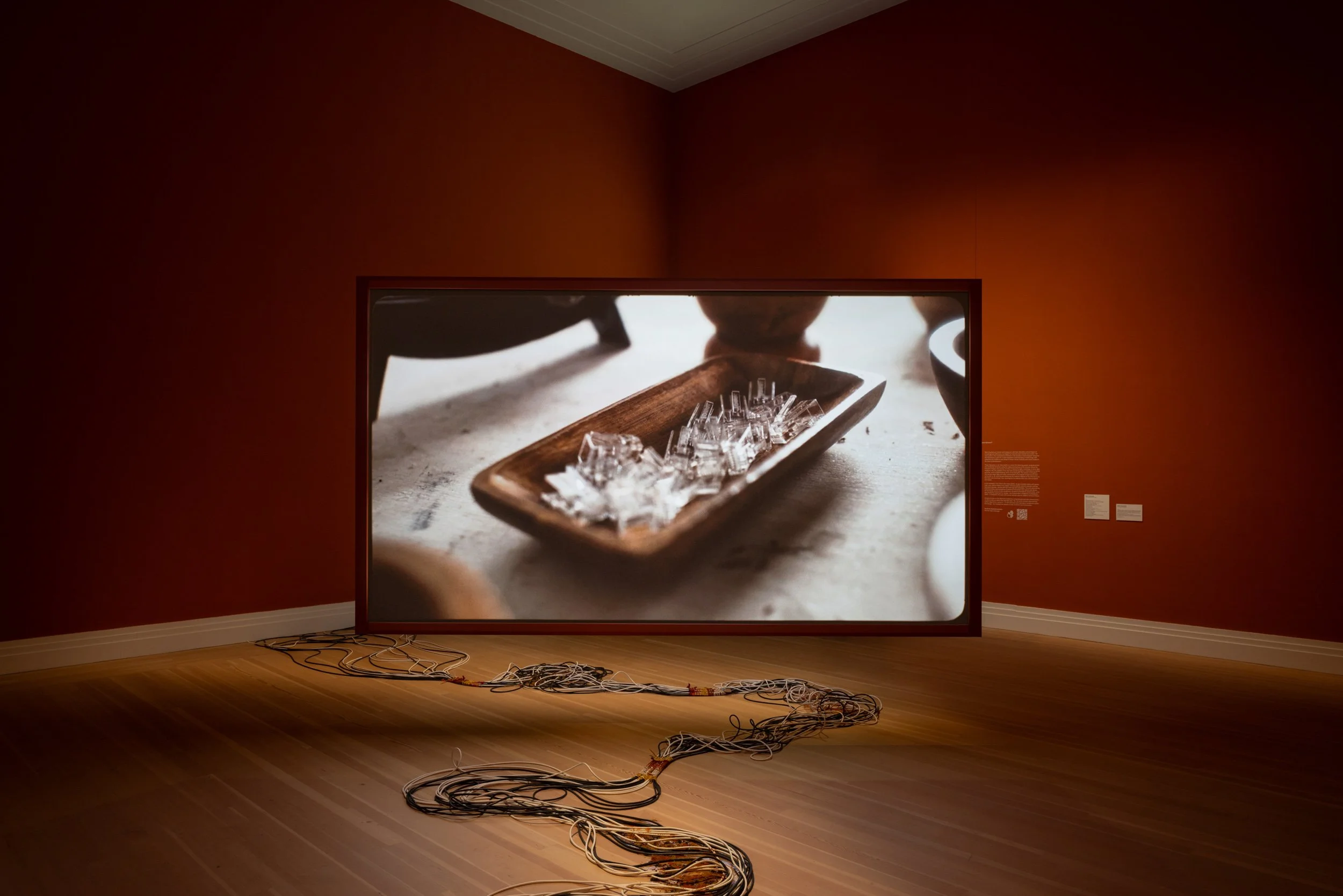 2_installation shots17.jpg