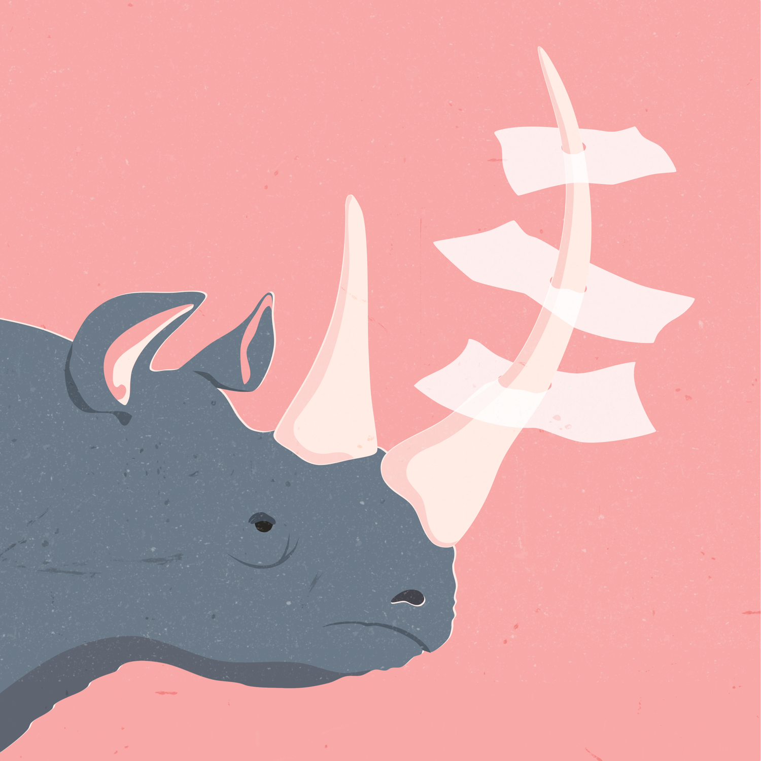 Rhino.png