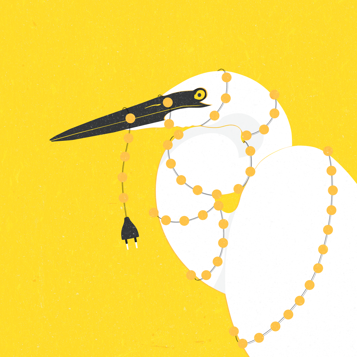 Bird.png