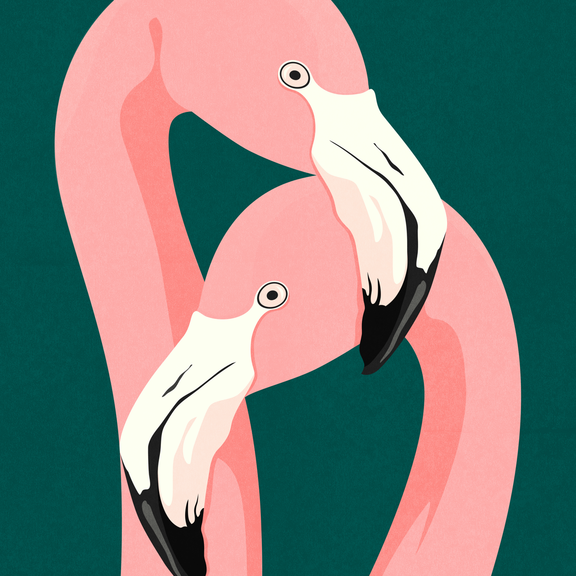 Flamingo web.png