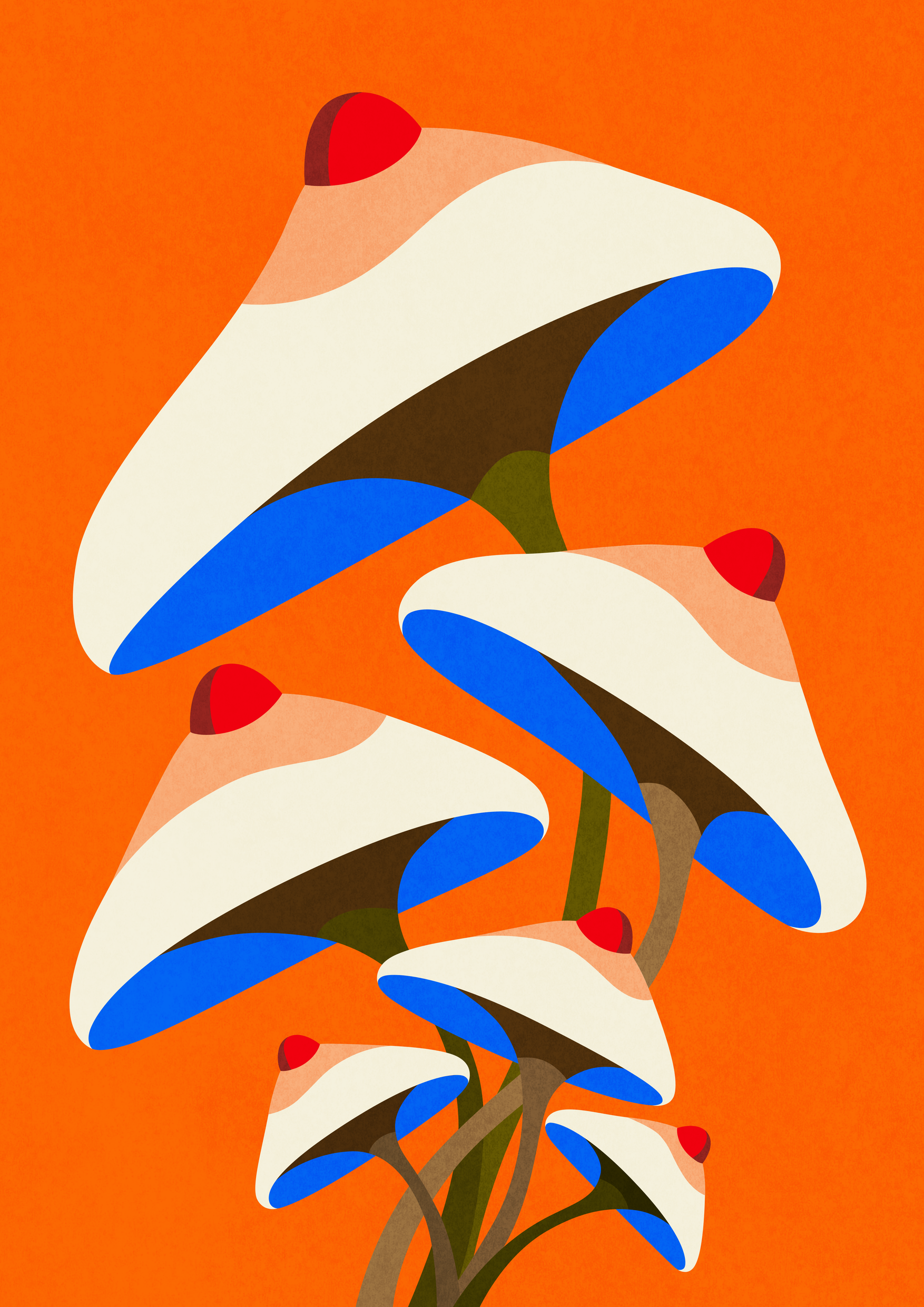 Fungi Tree_web.png