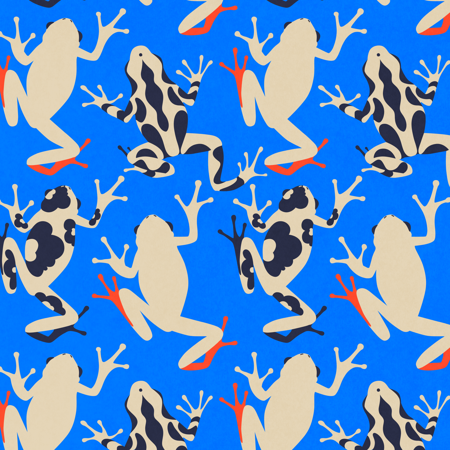Frog blue web.png