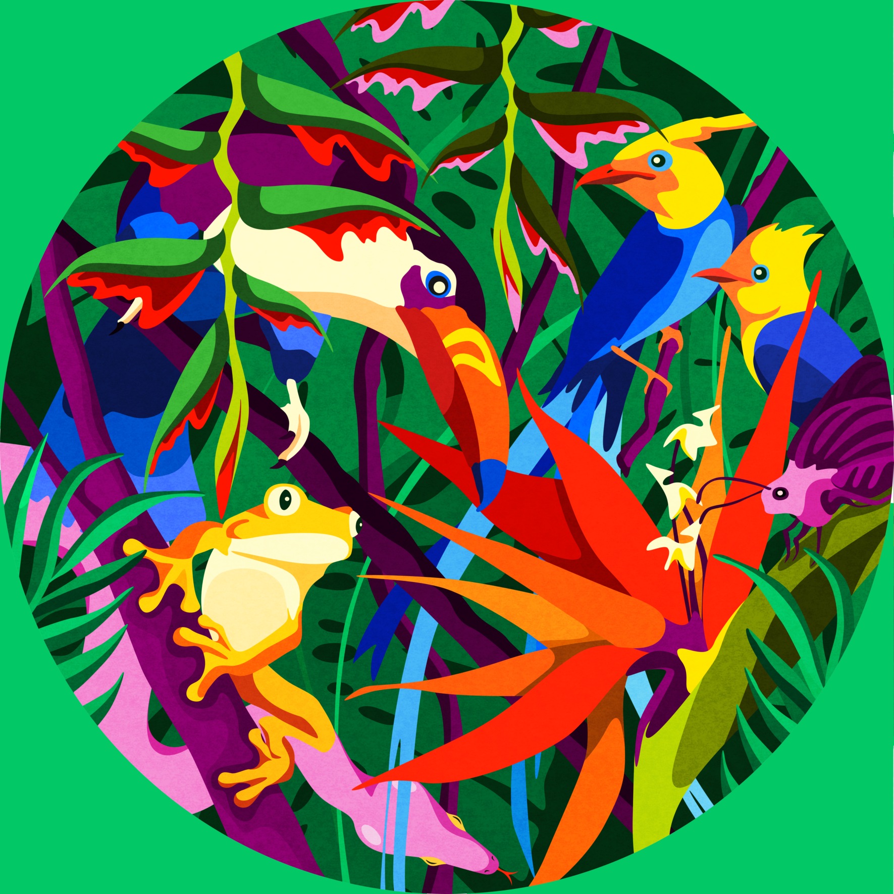 Tropical forest web.png