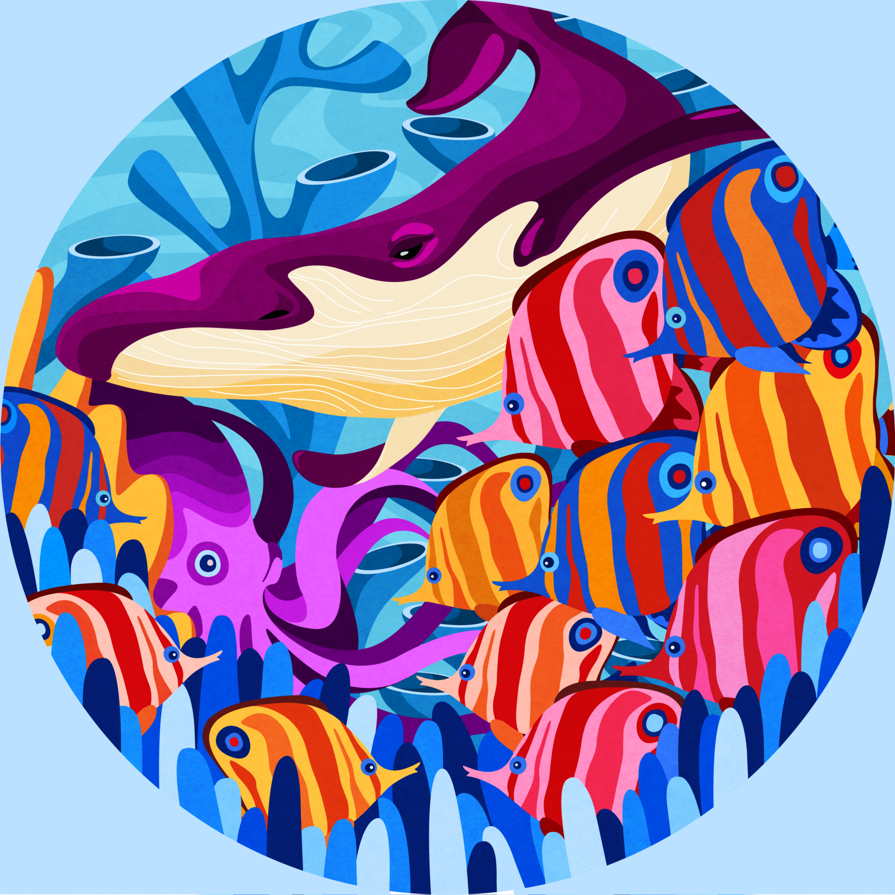 Corals web.png