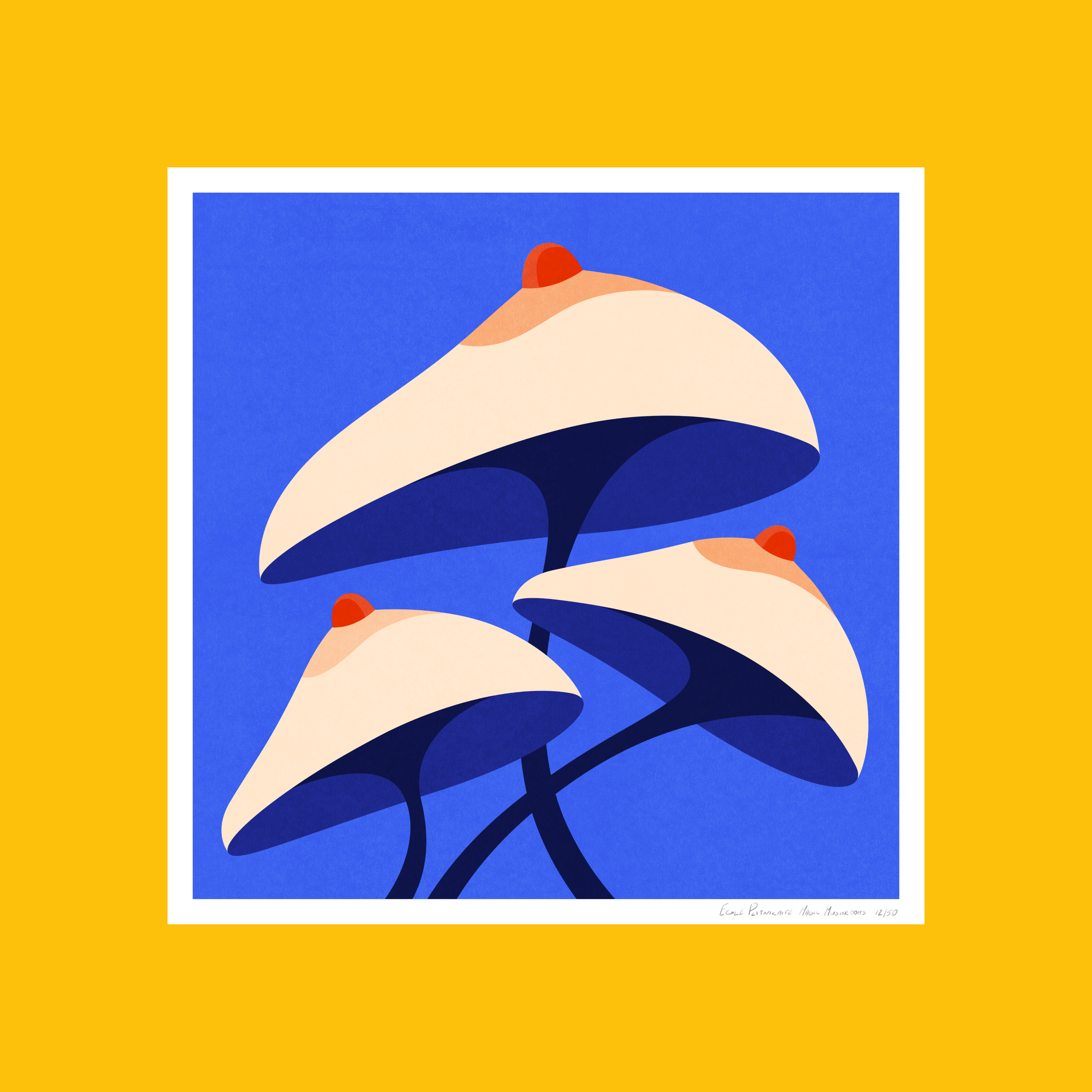 Magic Mushrooms 30x30 print.png