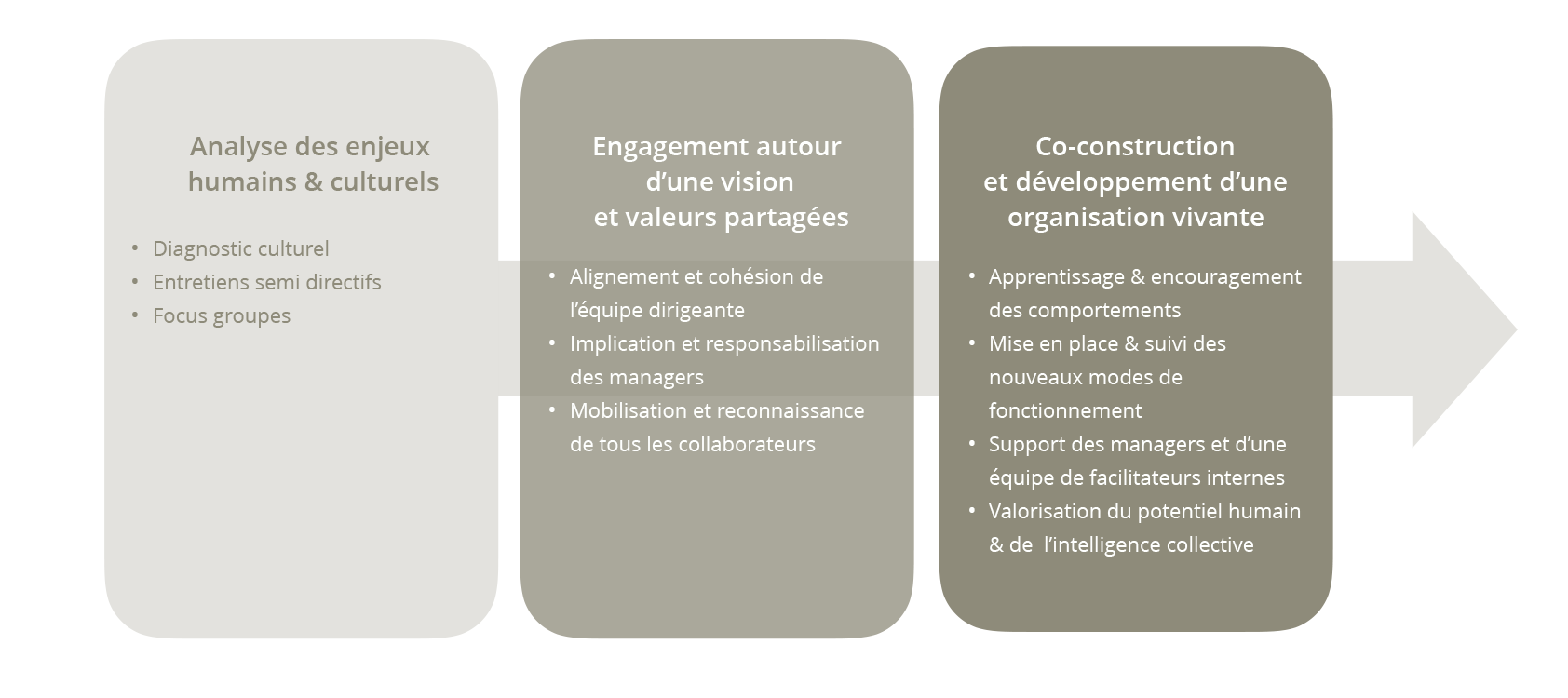 Les 3 étapes d'un projet de transformation culturelle & comportementale : les grandes étapes.