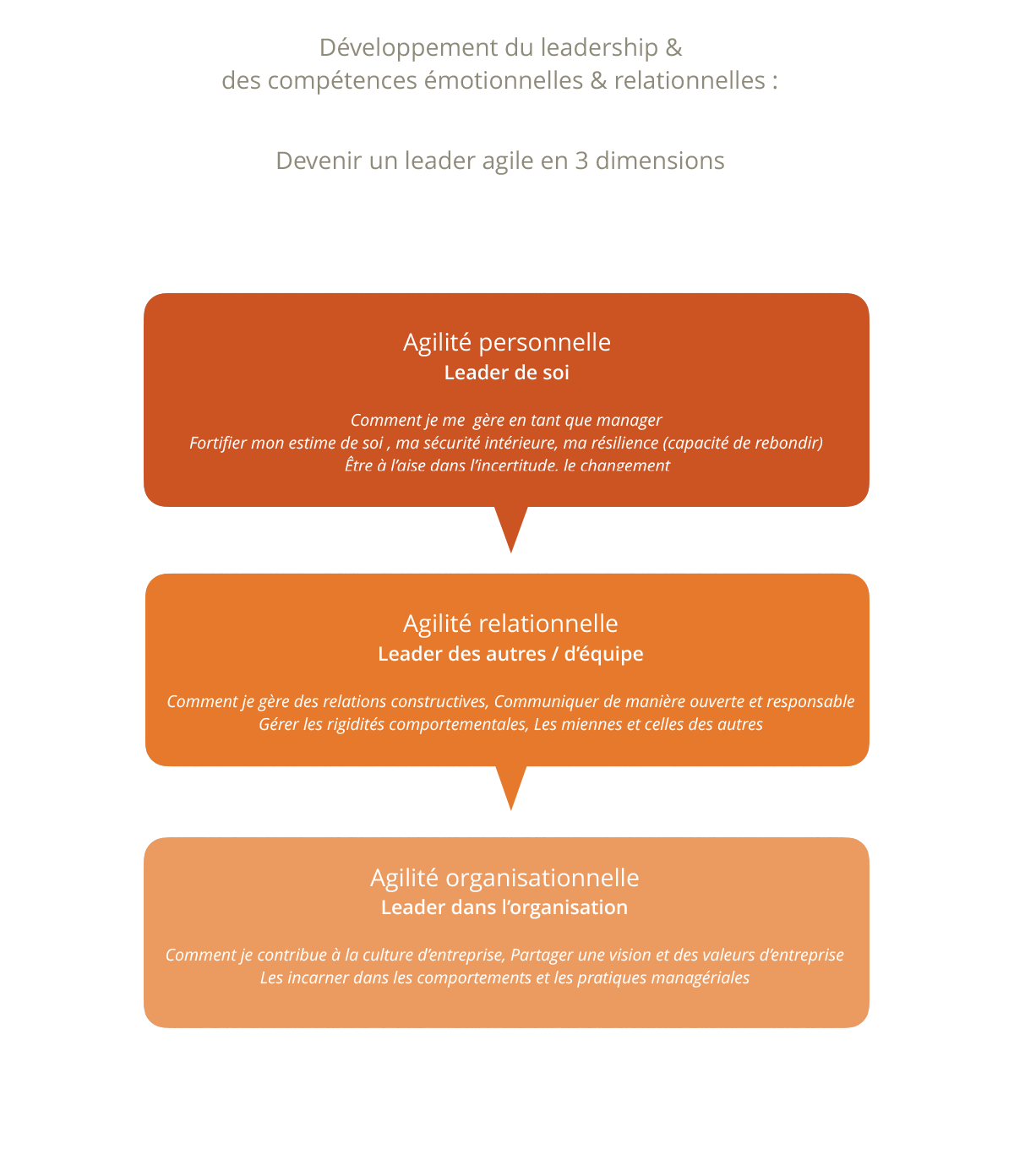 Devenir un leader agile 
