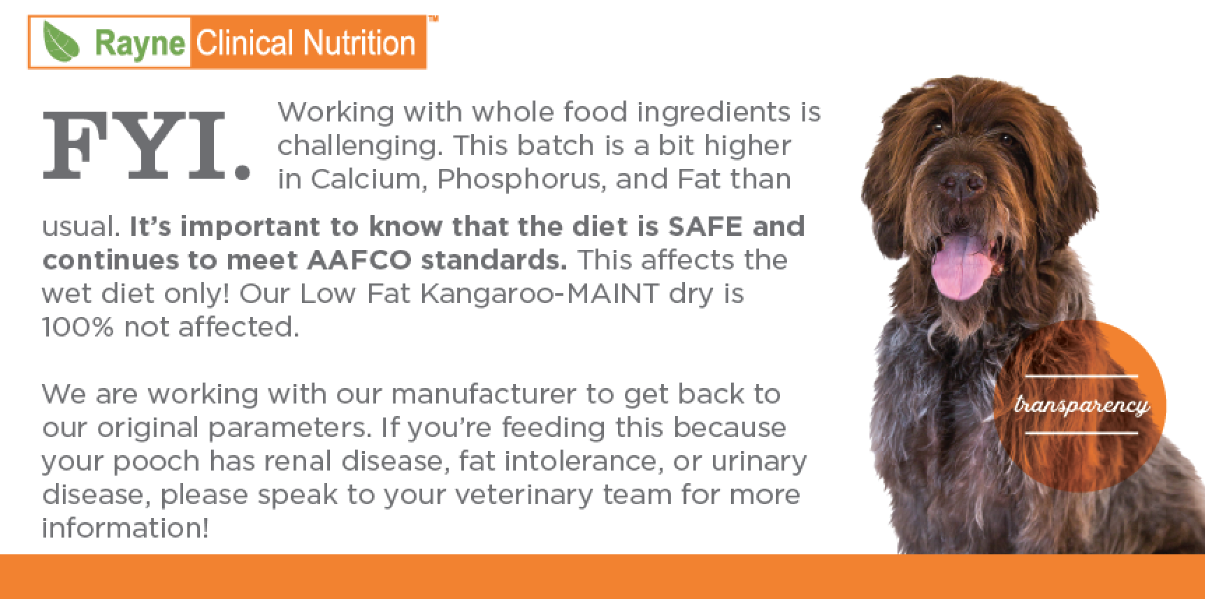 rayne dog food kangaroo