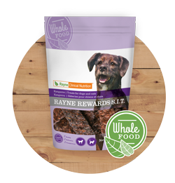 rayne dog food kangaroo