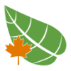 raynecanada.ca-logo