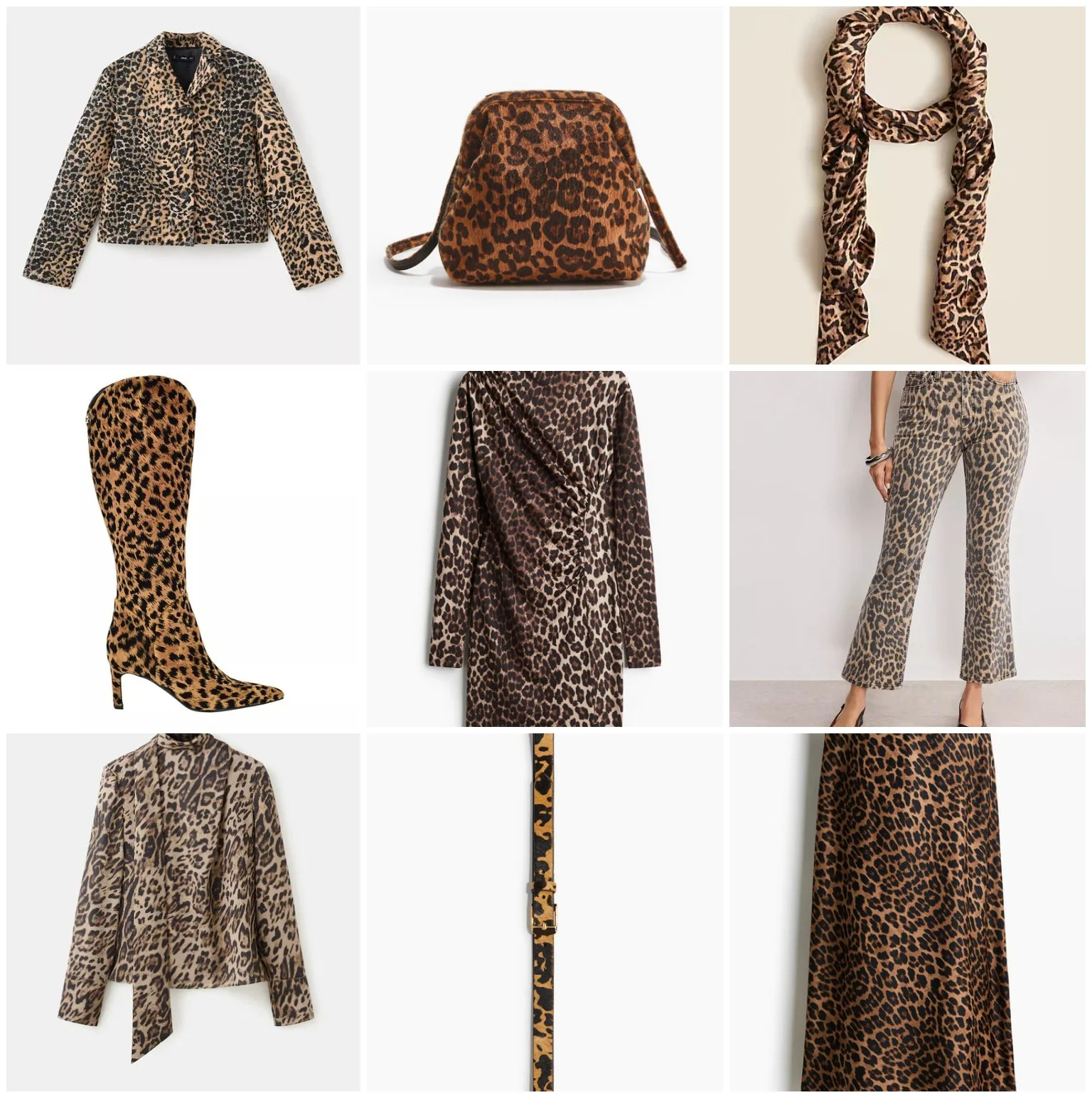 Leopard Pieces 2026.jpg