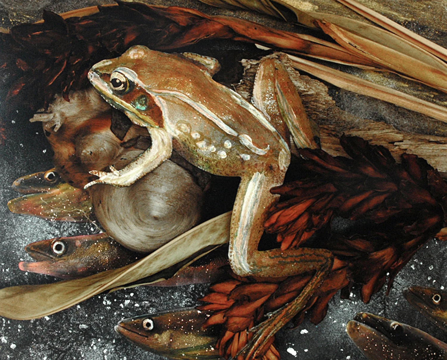 Frog with Eels