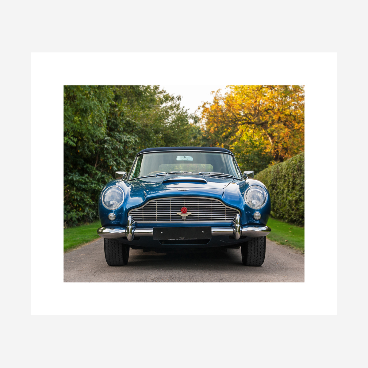 Aston Martin DB5 28" x 24"