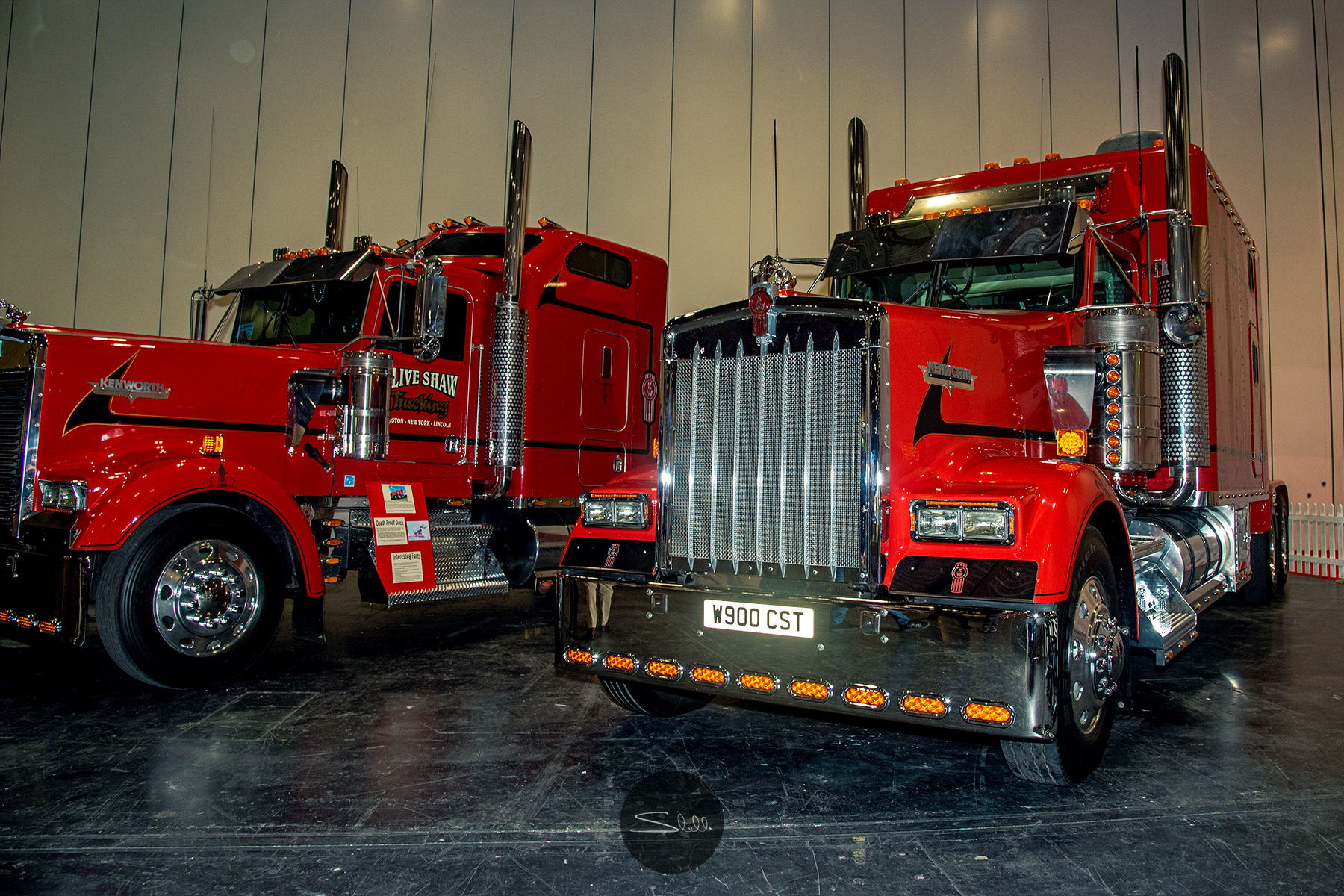 Stella Scordellis The London Motor Show 2018 8 Watermarked.jpg