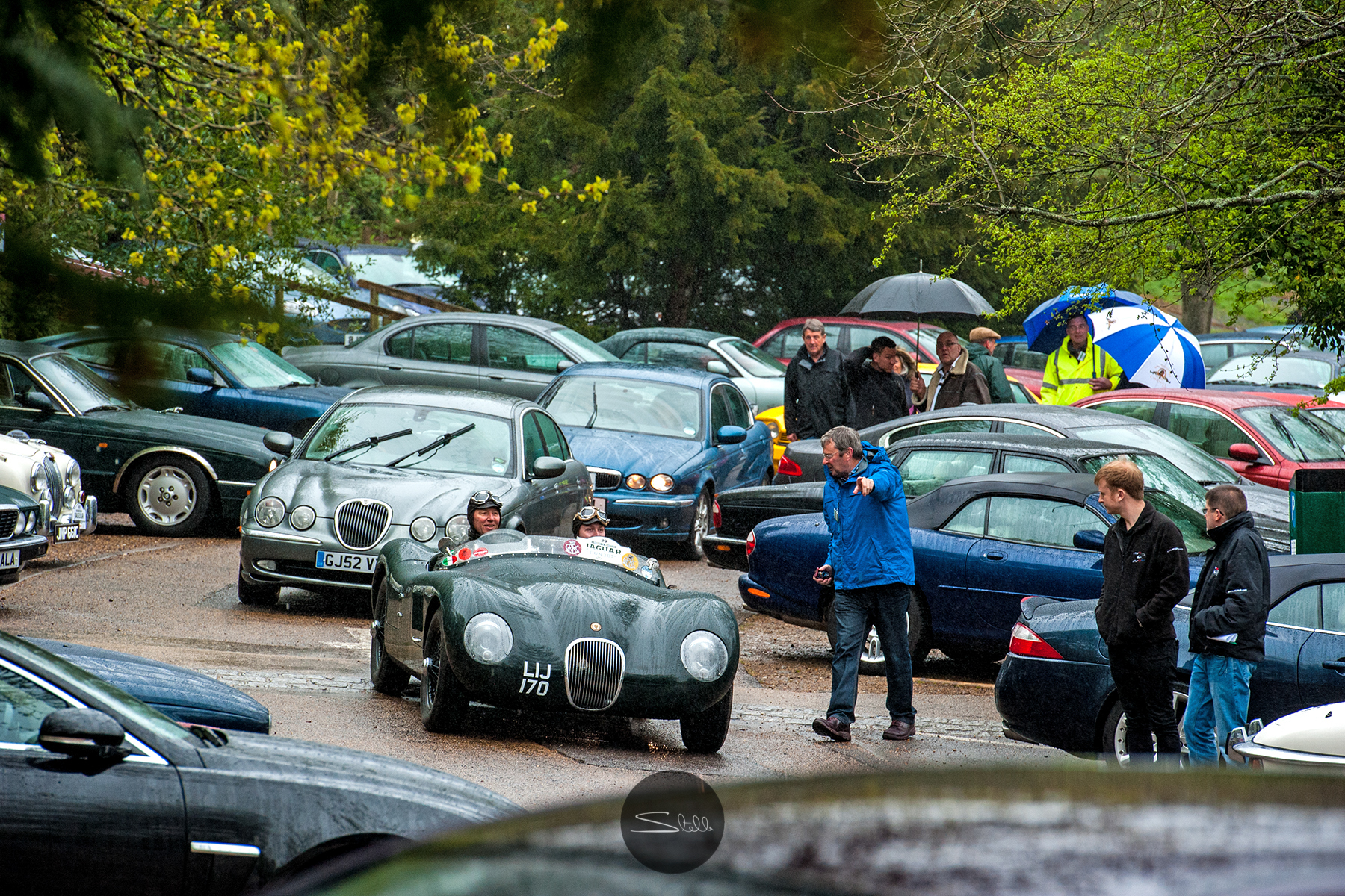 Stella Scordellis Jaguar Car Run 2015 8 Watermarked.jpg