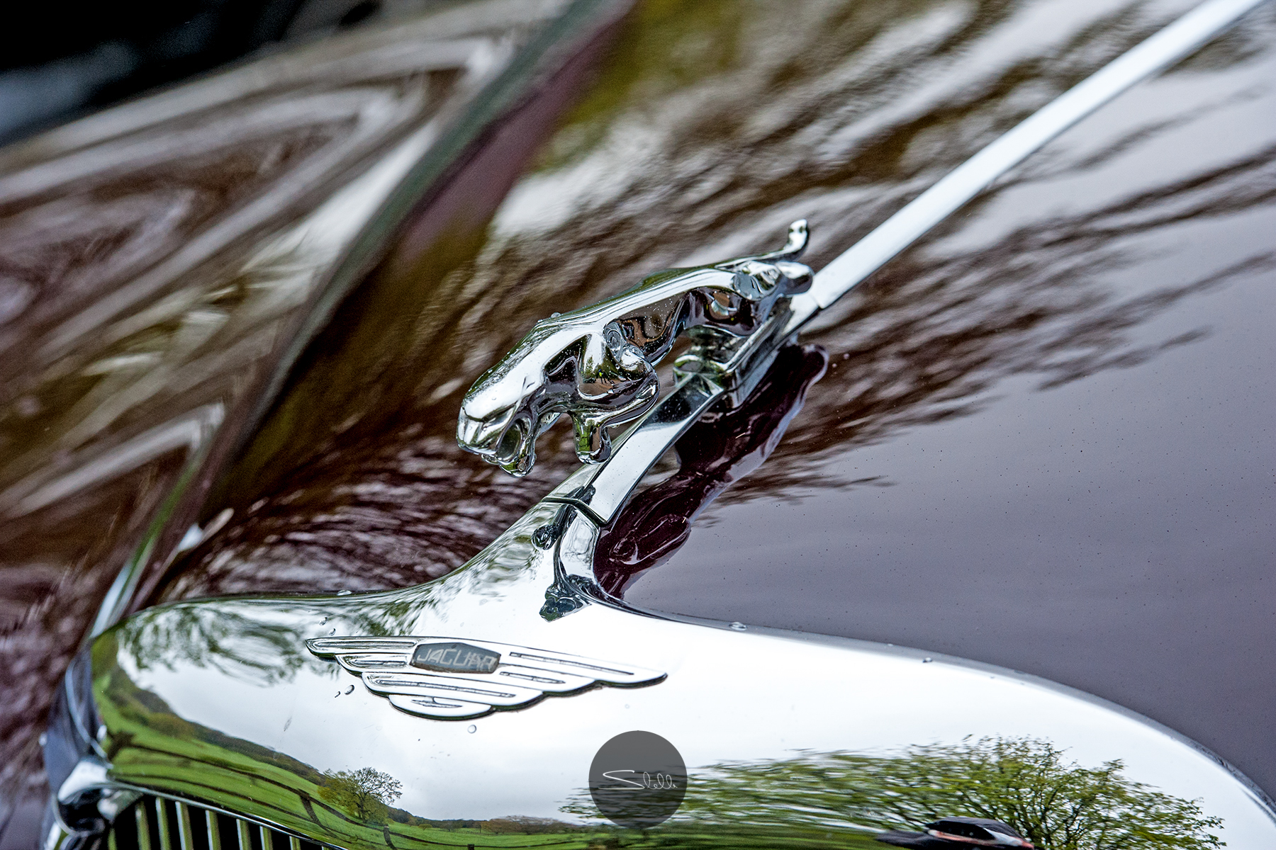 Stella Scordellis Jaguar Car Run 2015 20 Watermarked.jpg