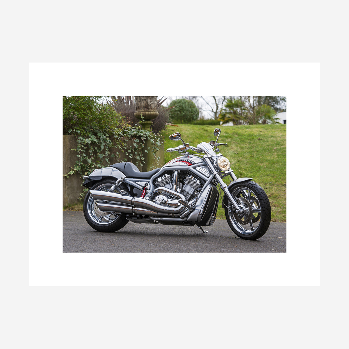 Harley Davidson V-Rod - 26x20.jpg