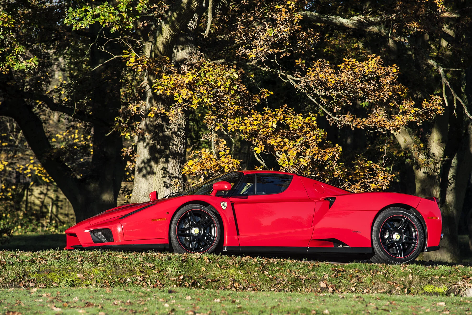 Ferrari Enzo Side View.jpg