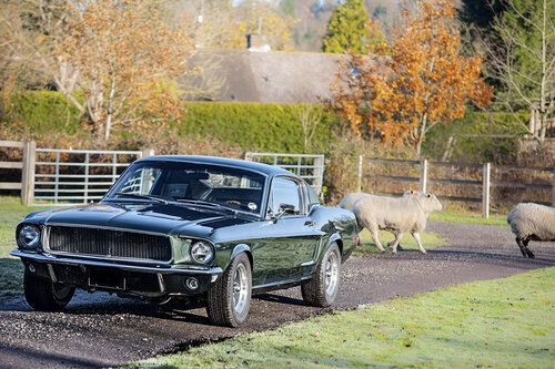 1968 Ford Mustang 'Bullitt' & Sheep