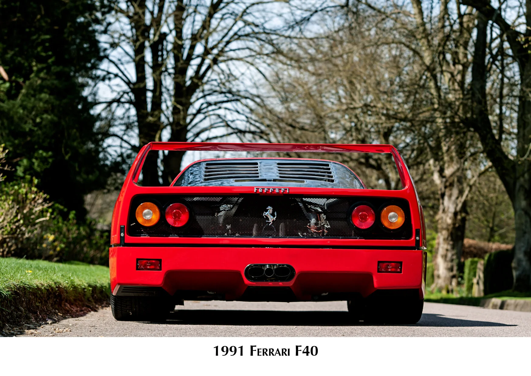Stella Scordellis A6 Ferrari F40 Back.jpg