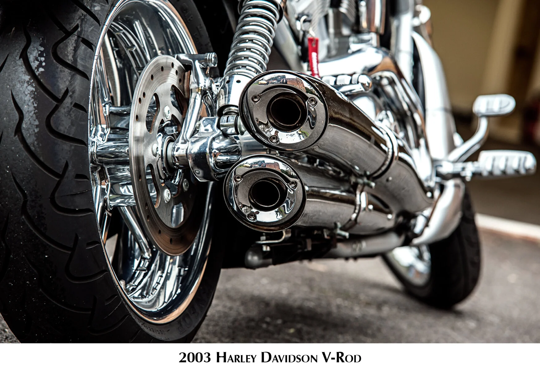 Stella Scordellis A6 Harley Davidson.jpg