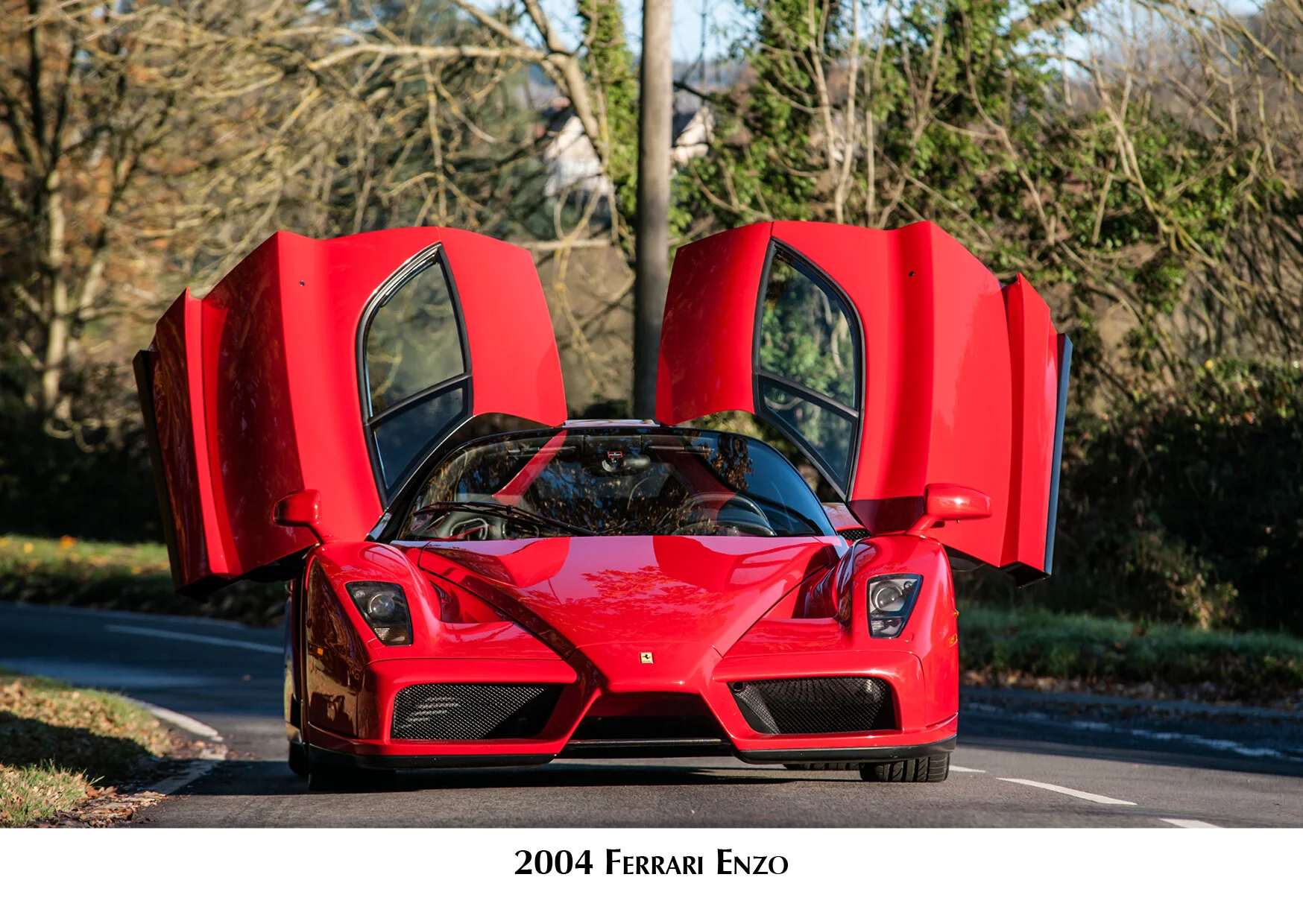 Stella Scordellis A6 Ferrari Enzo.jpg