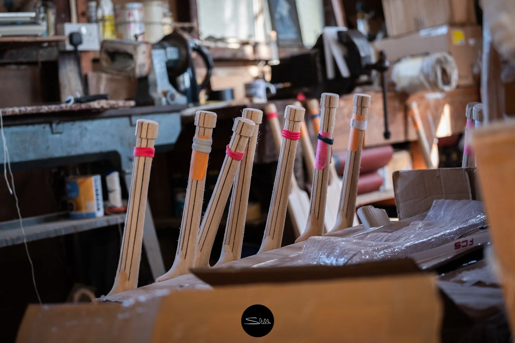 Stella Scordellis -Keeley Cricket Bats178.jpg