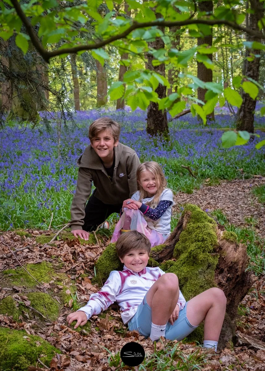 Stella Scordellis - Bluebells.jpg
