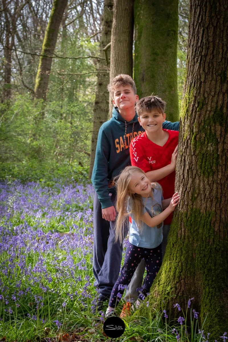 Stella Scordellis bluebells 301.jpg