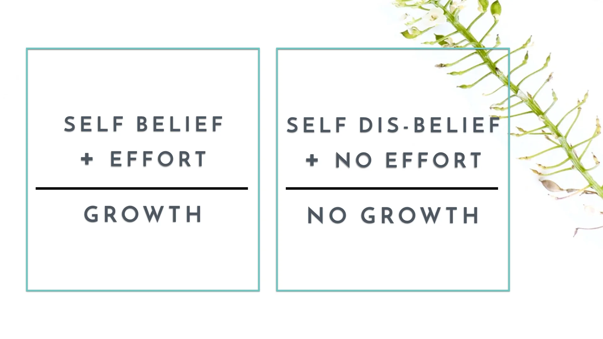 Blog - growth mindset - self belief.001.jpeg