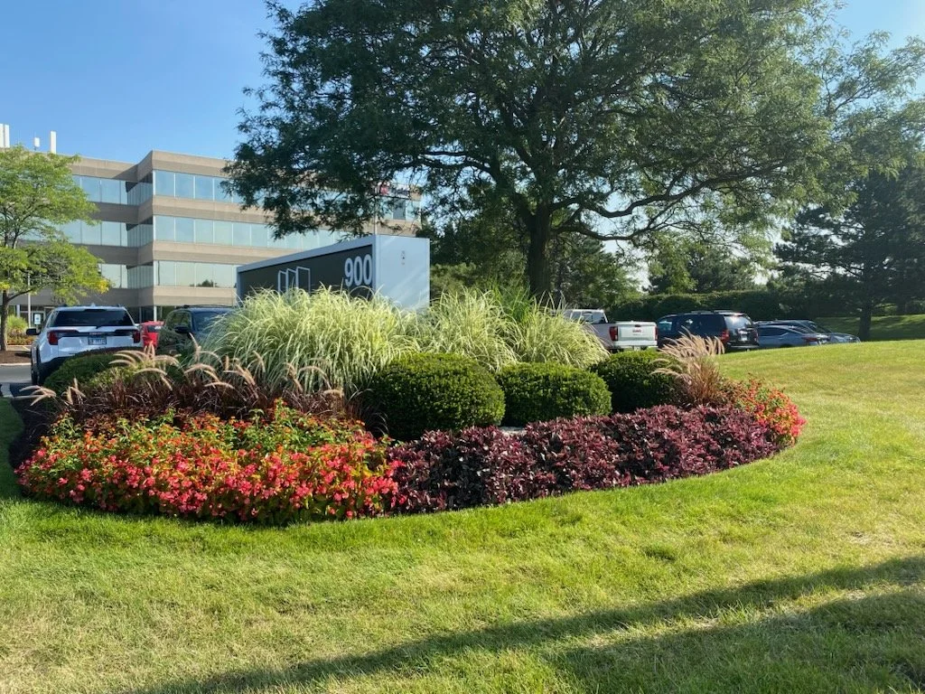 summer flowers (7).jpg