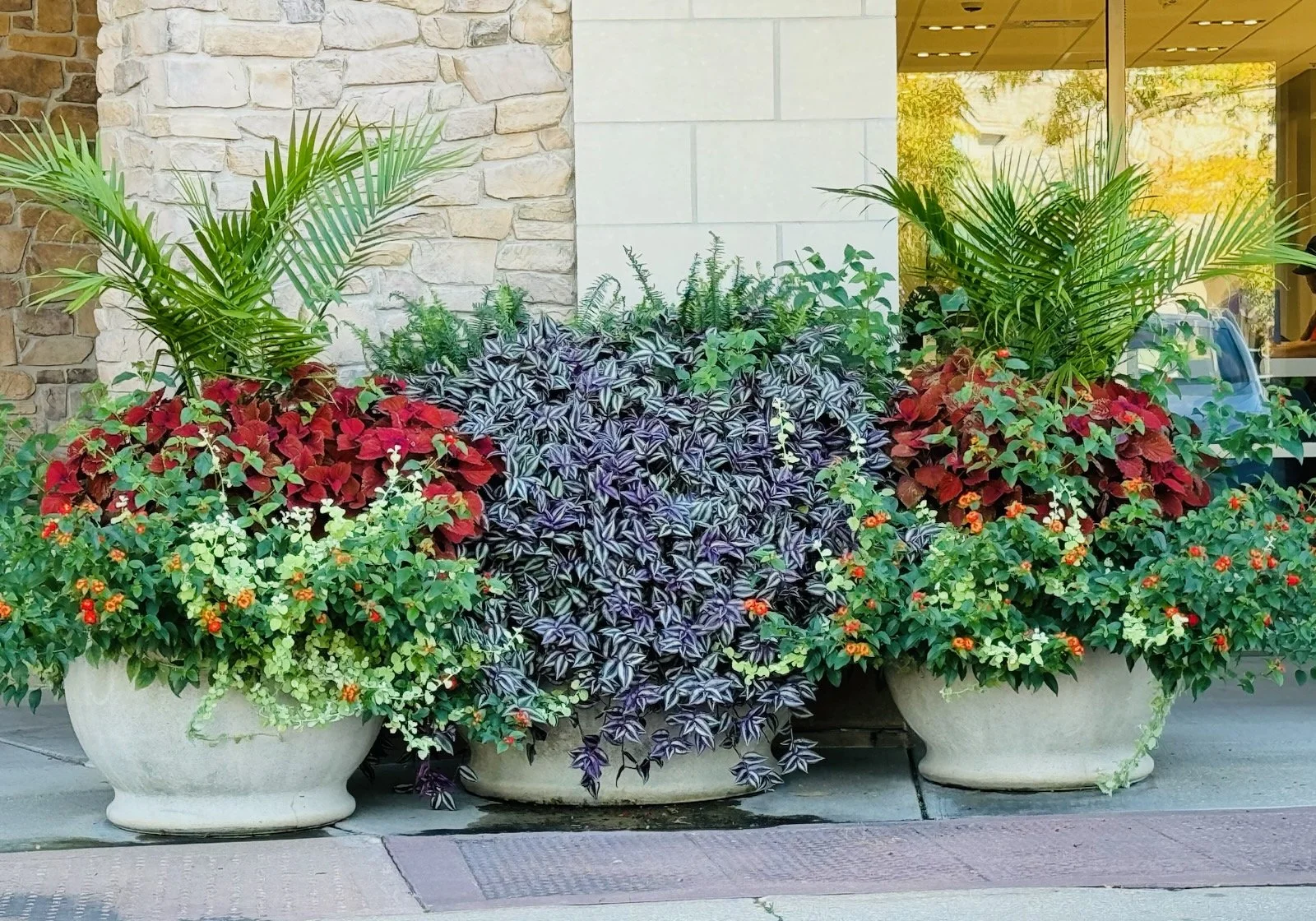 summer flowers (4).jpg