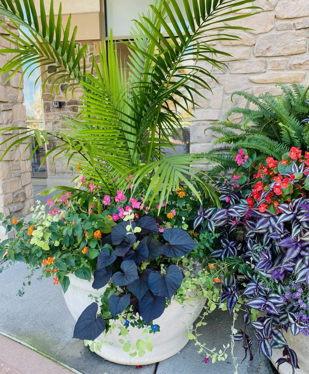 summer flowers (8).jpg