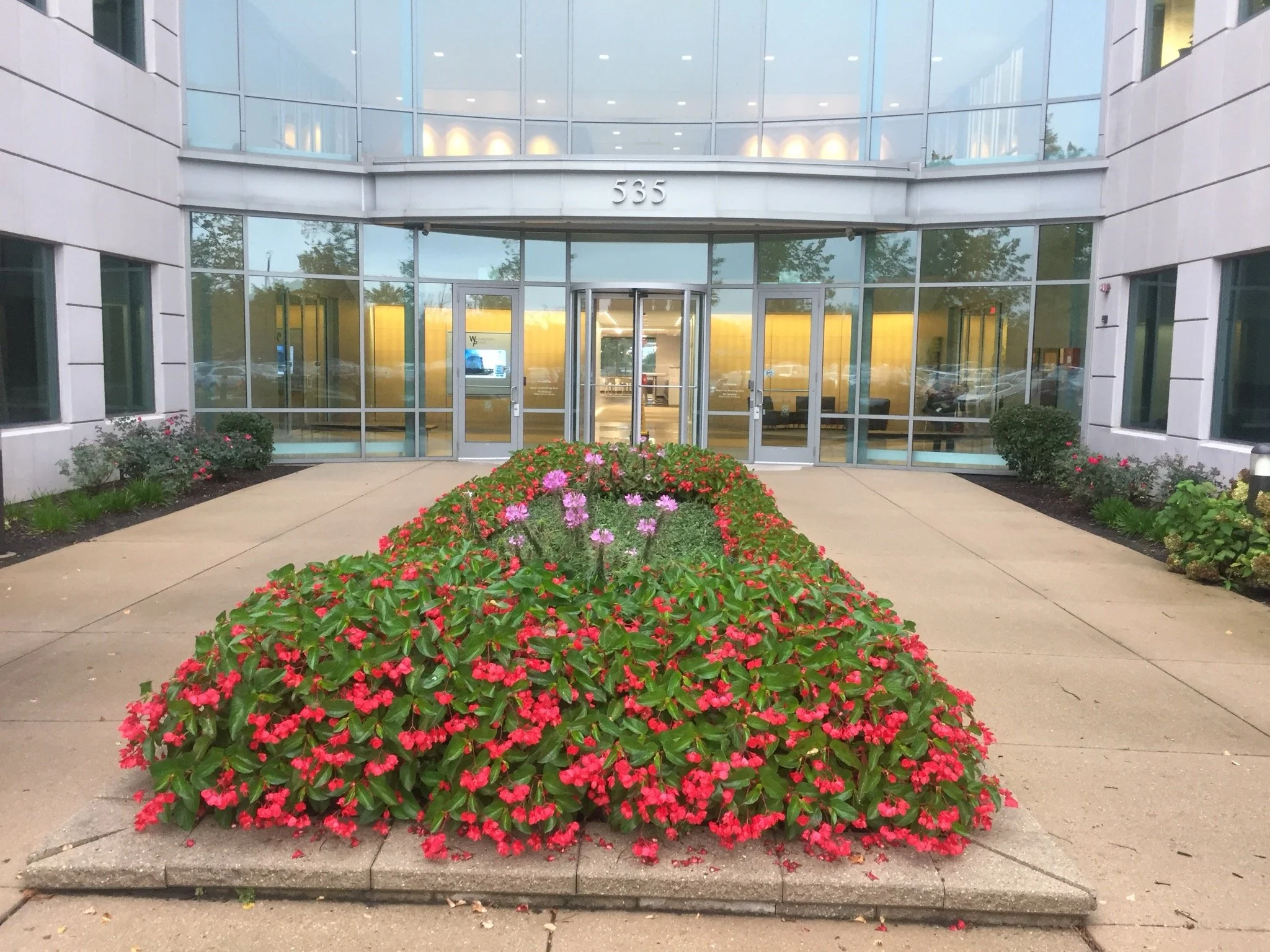 summer flowers 4 (2).jpg