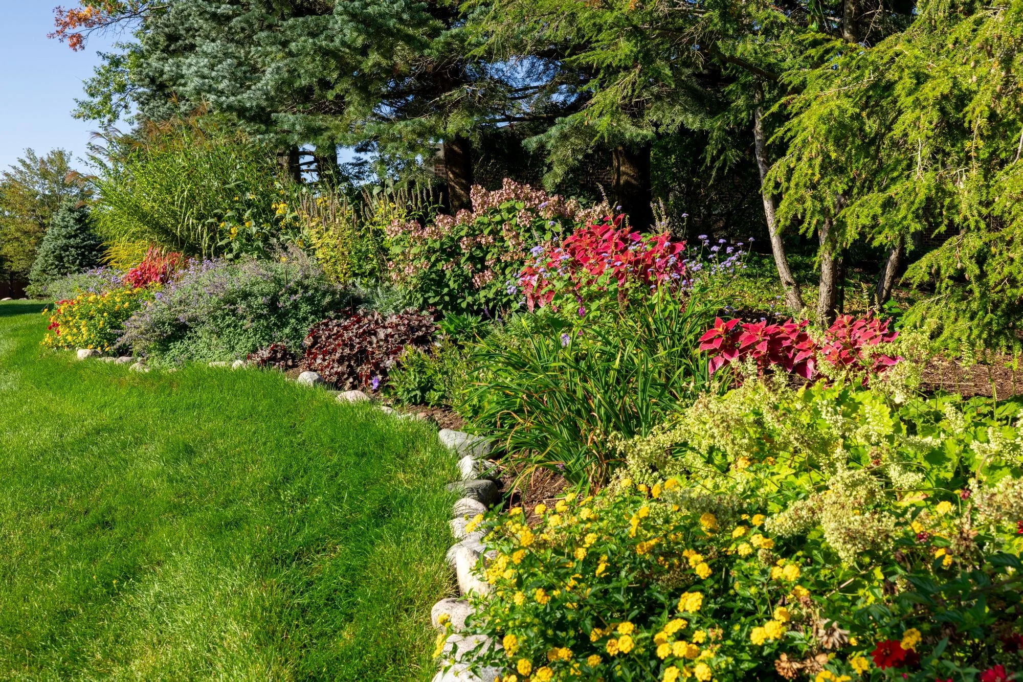 summer flowers 8.jpg