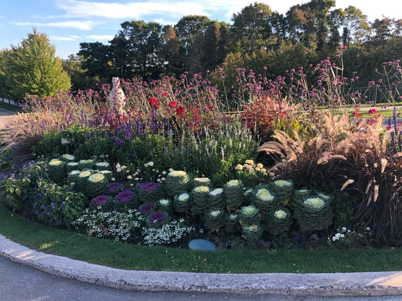 fall flowers (5).jpg