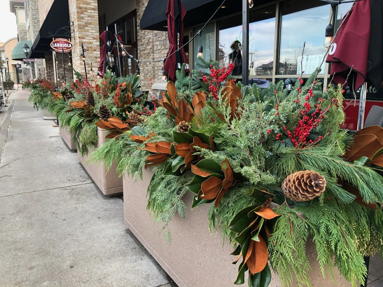 winter flowers 5.jpg