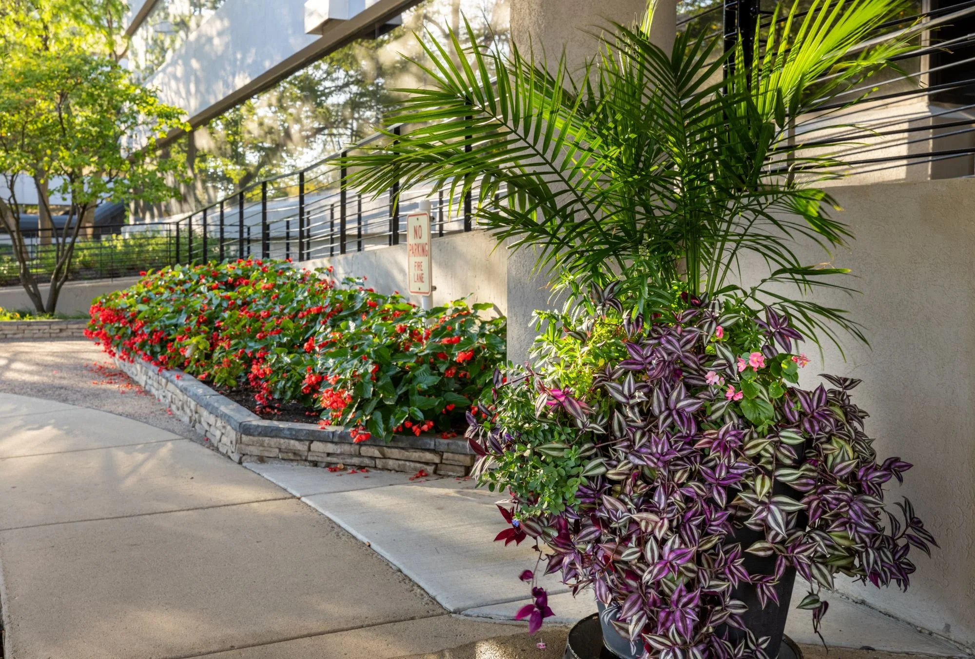 Summer flowers 19.jpg