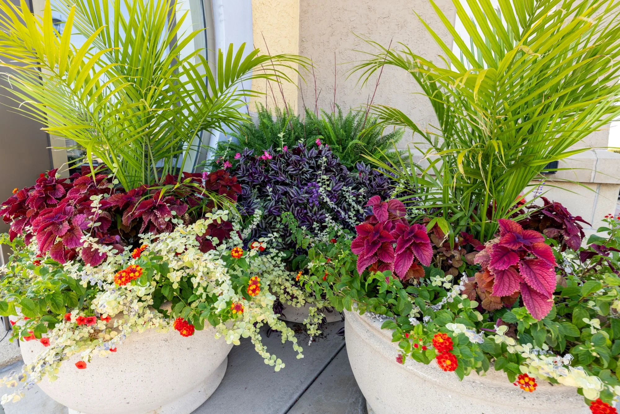 summer flowers new.jpg