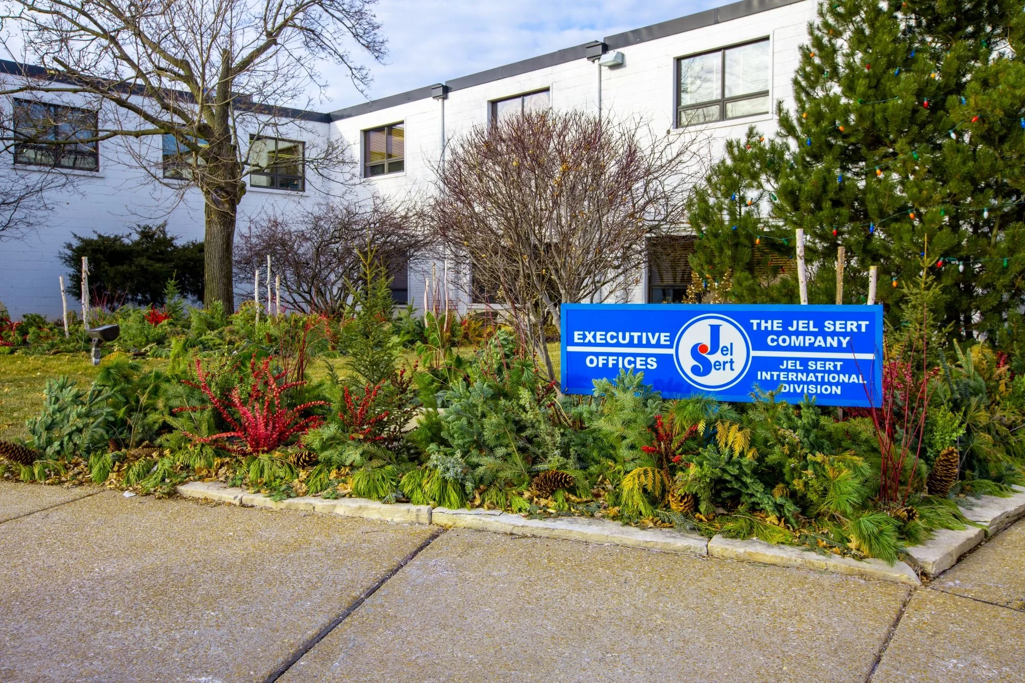 winter flowers new.jpg