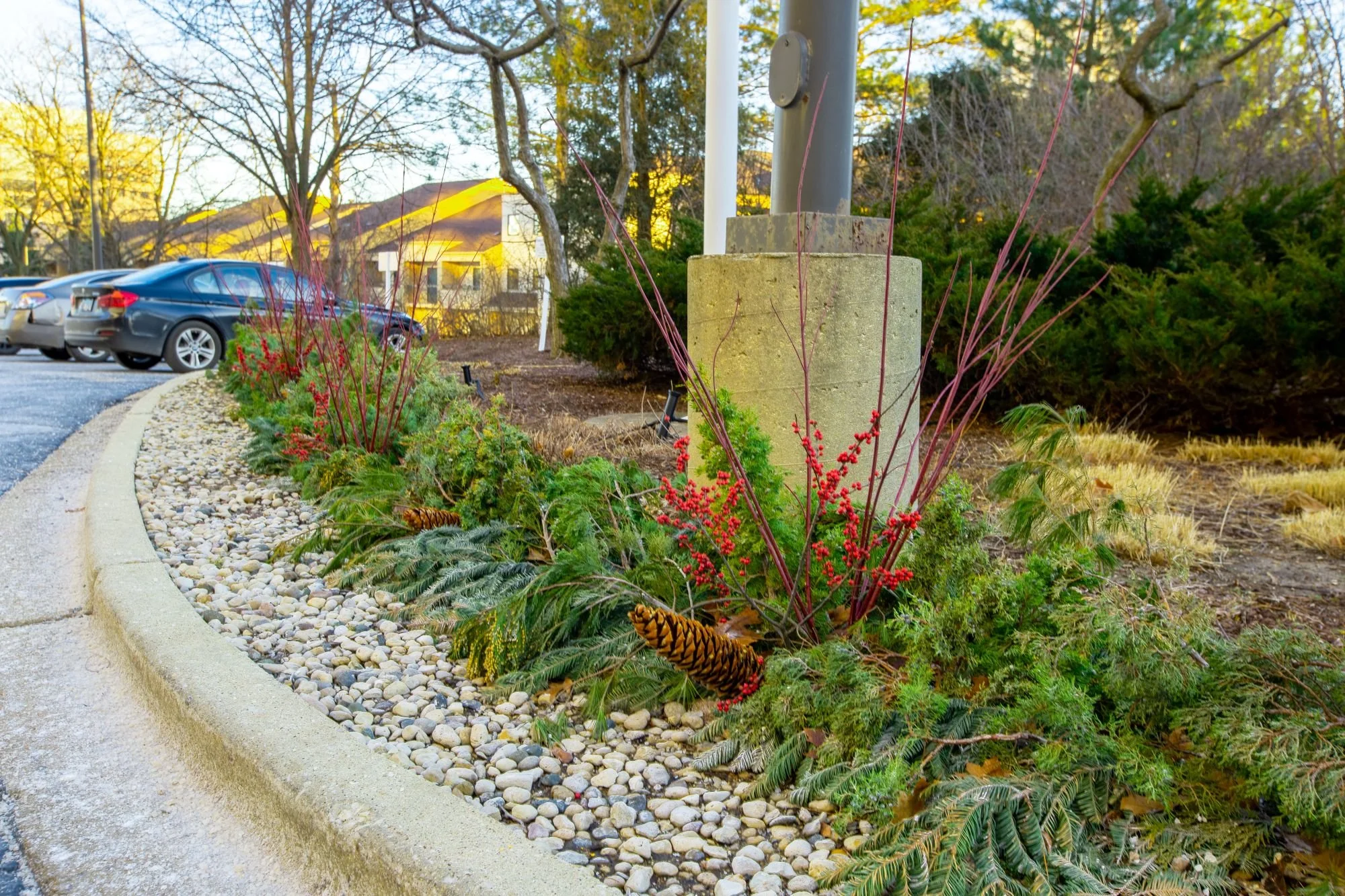 winter flowers new 2.jpg