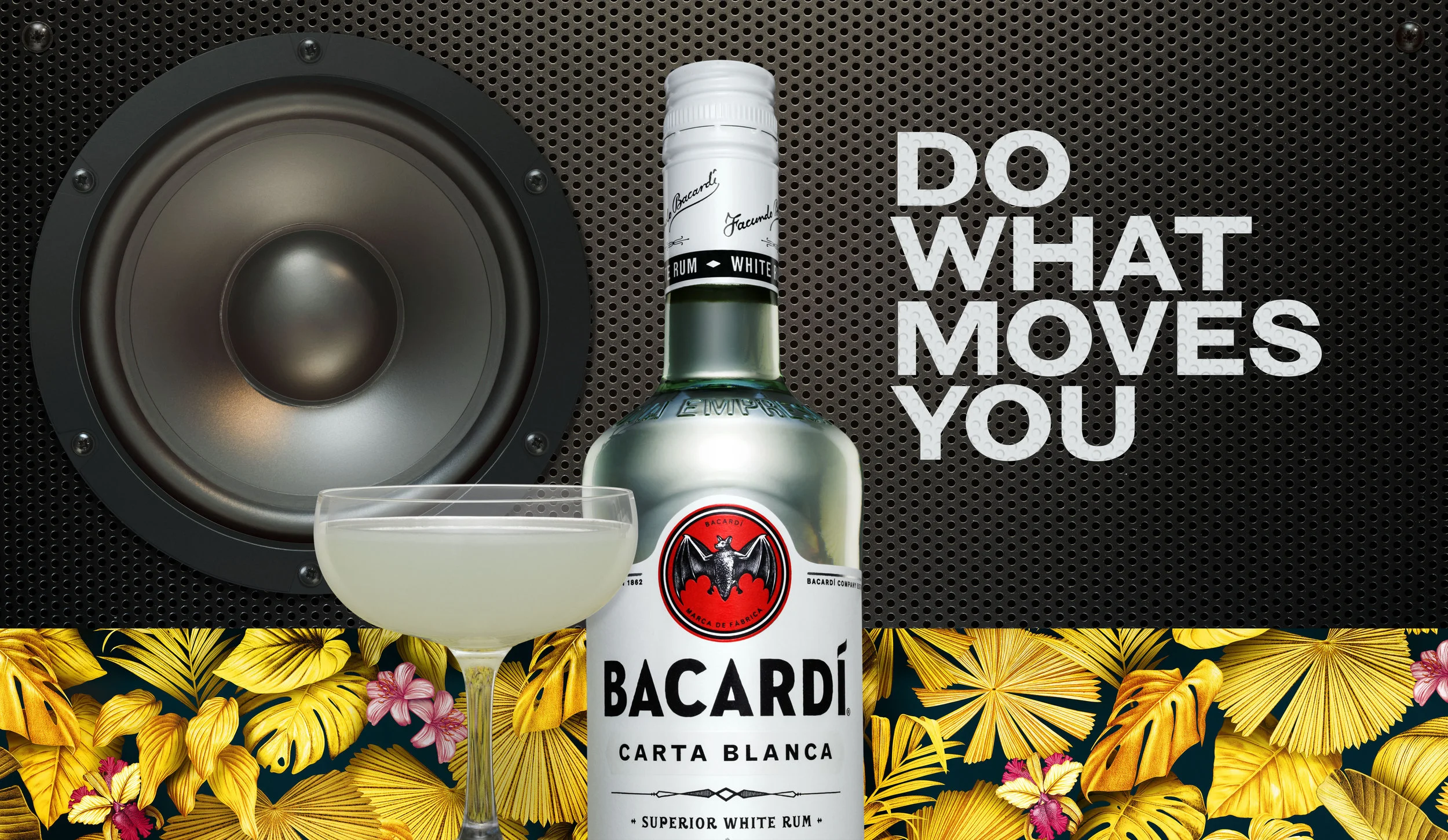 Bacardi_Daiquiri_308x529_R01.jpg