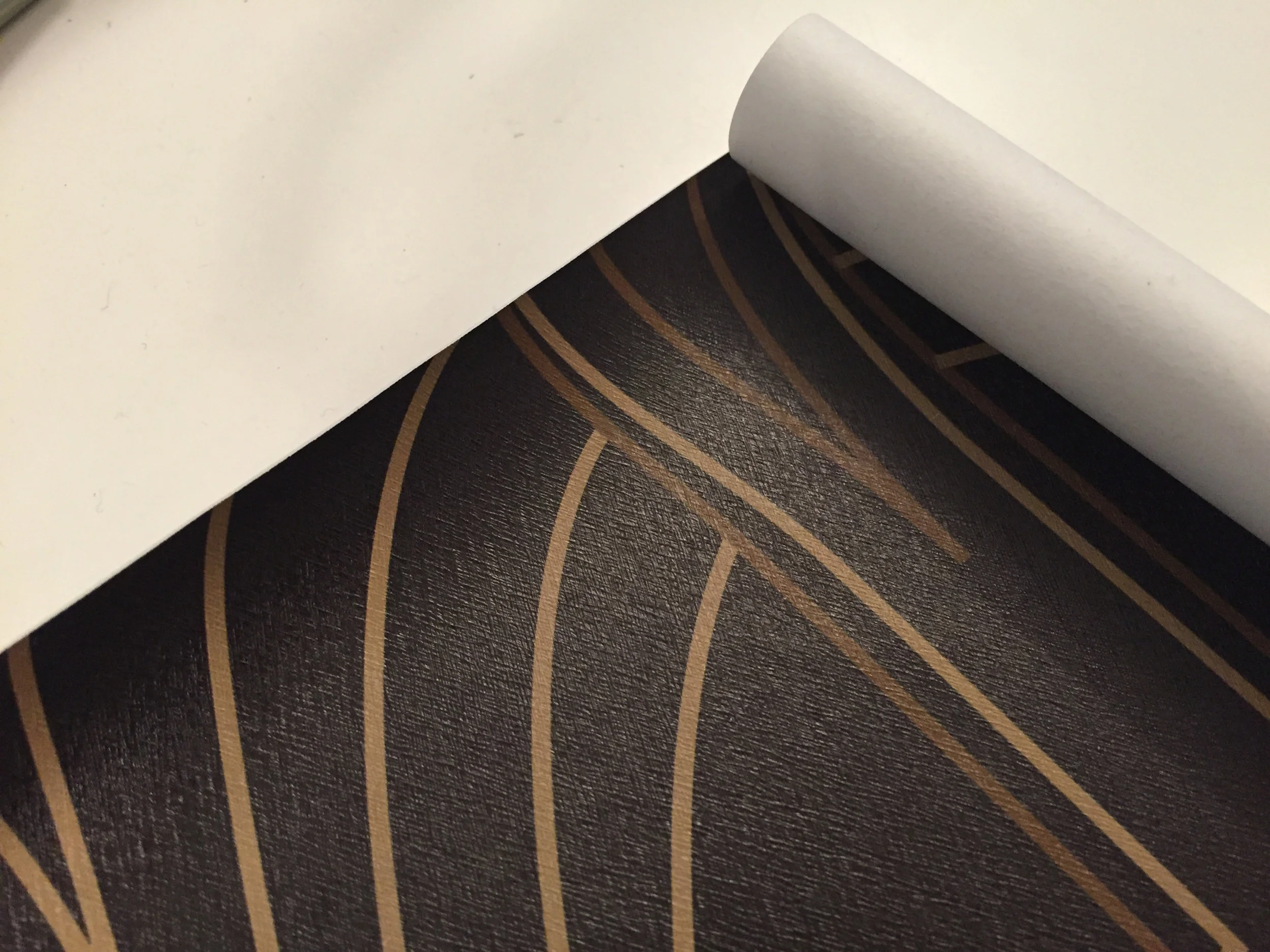 Photo Oct 11, 6 02 04 PM copy.jpg