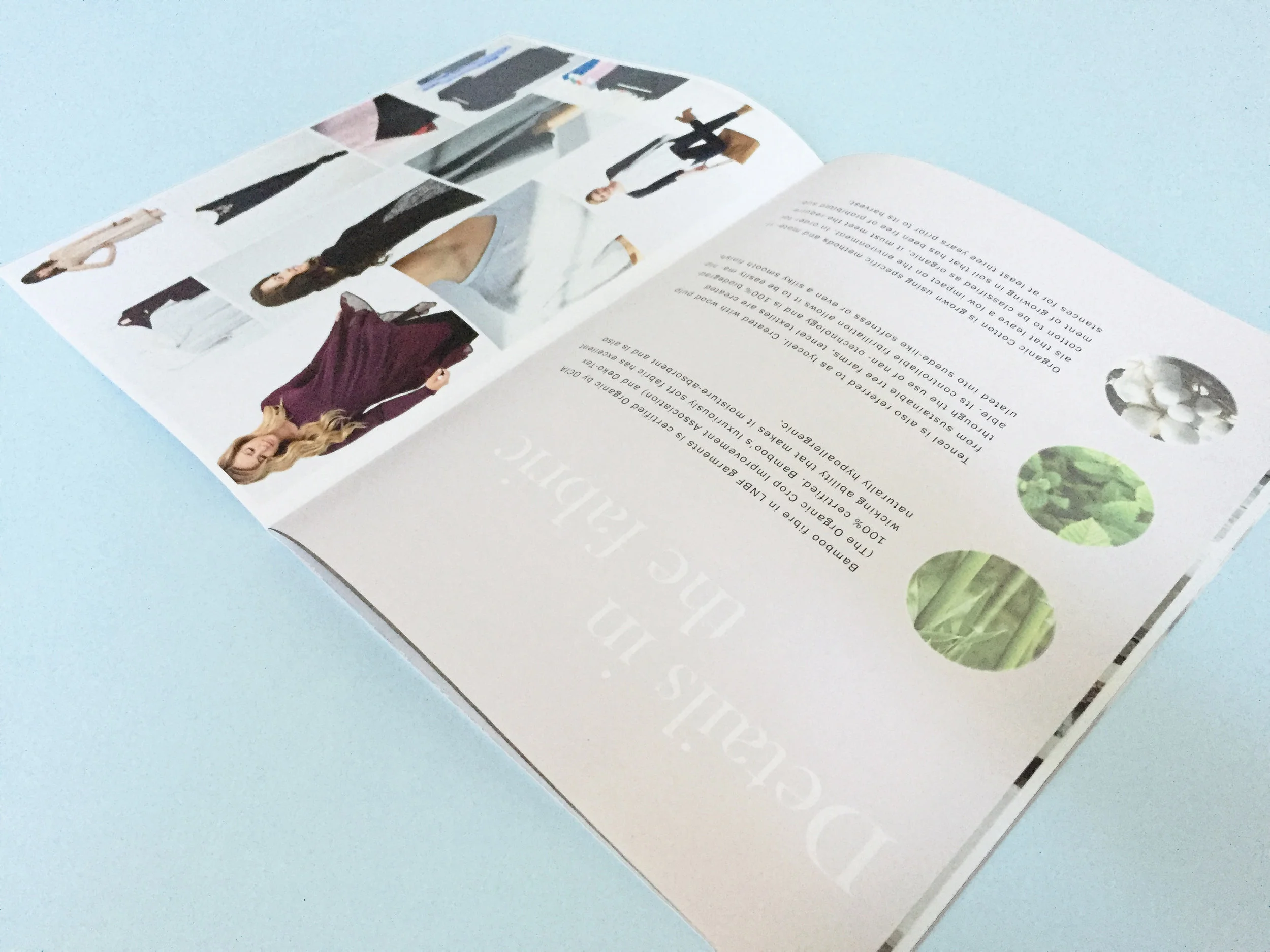 Photo Nov 17, 3 11 32 PM copy.jpg