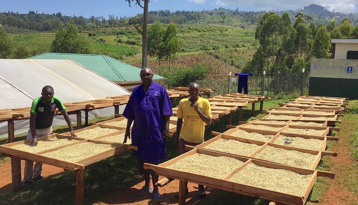 *Photo provided by Genuine Origin Project in Gibuzale, Uganda.