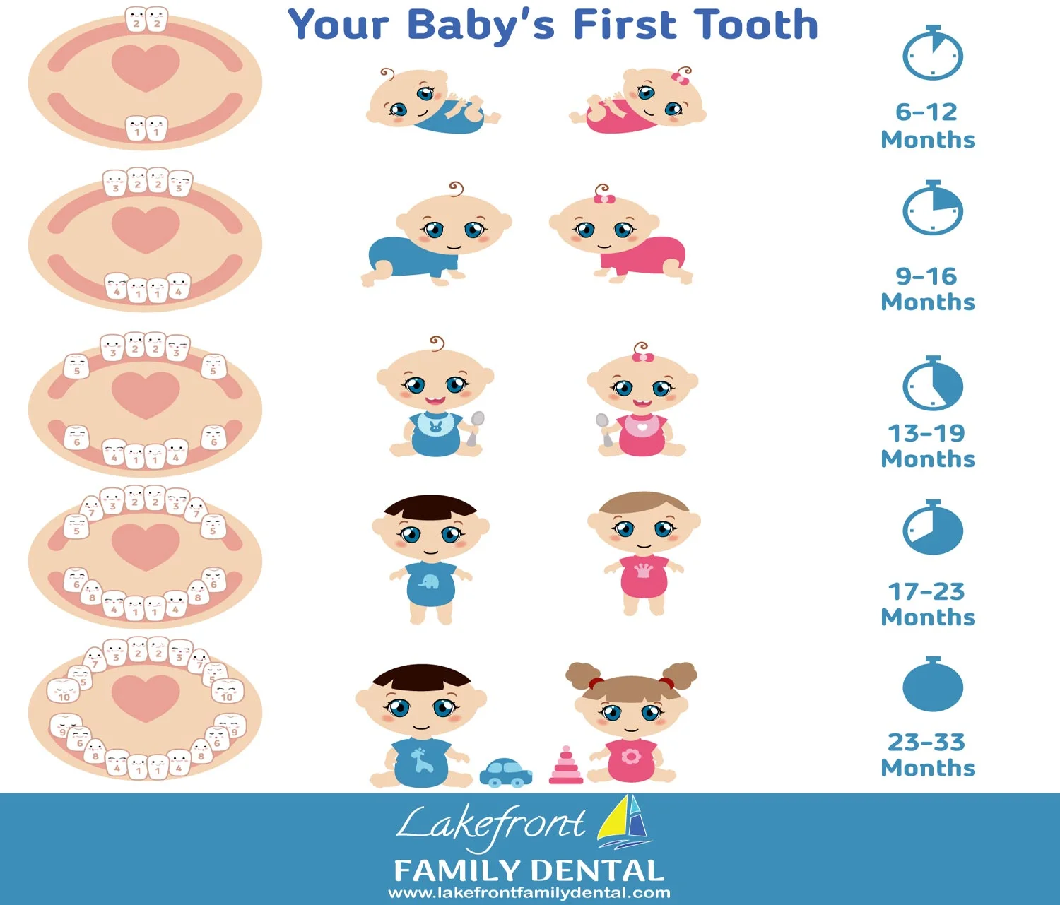 Baby's first tooth