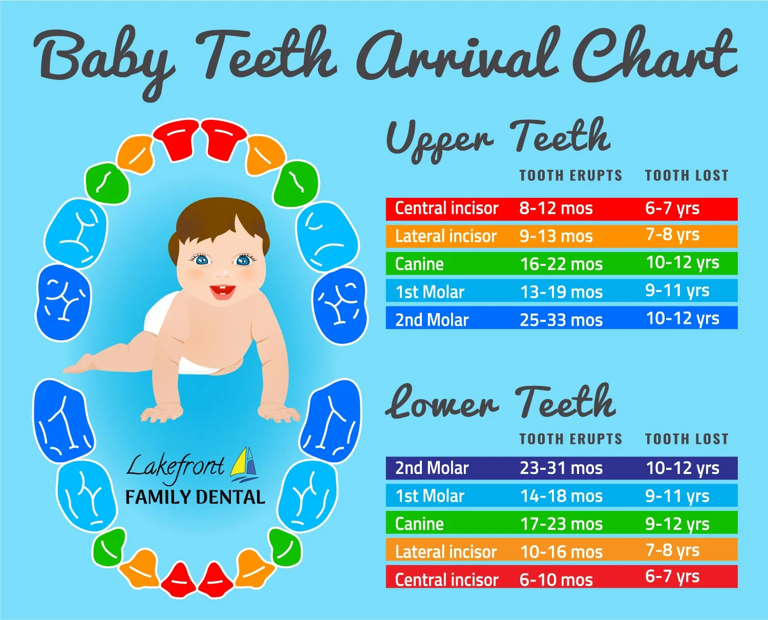 baby-teeth-chart.jpg