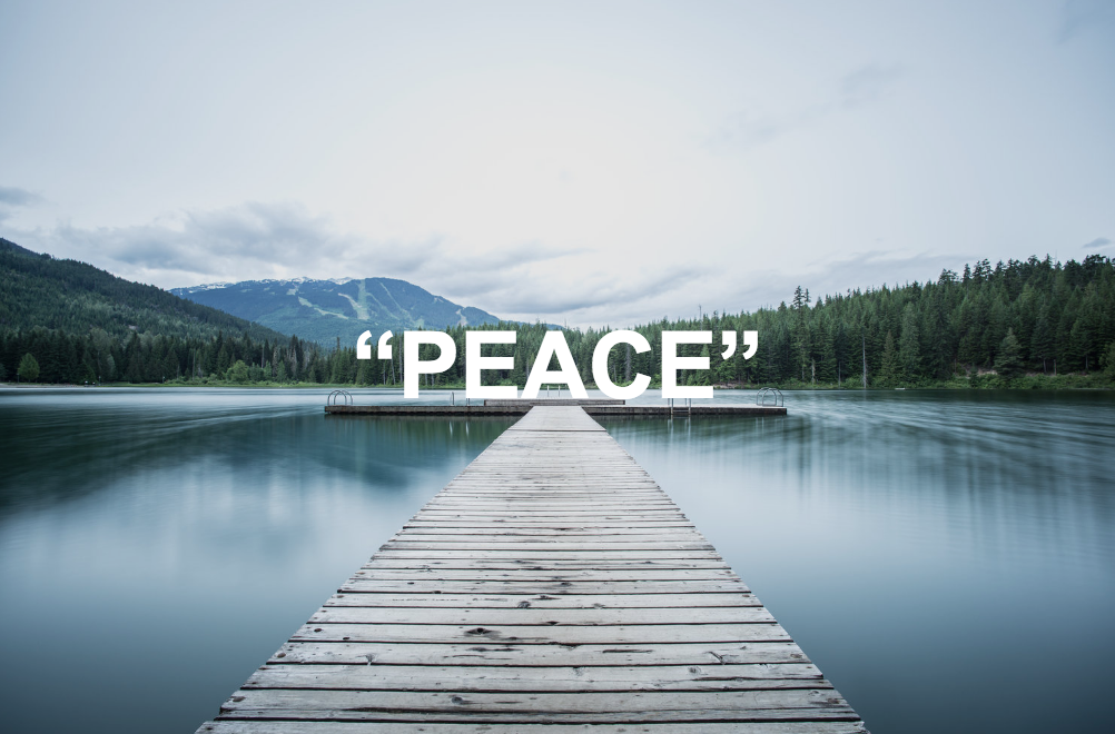 Screen Shot 2019-03-20 at 1.13.33 PM.png